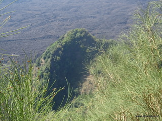 nte Rinatu-15-09-2019 11-02-34